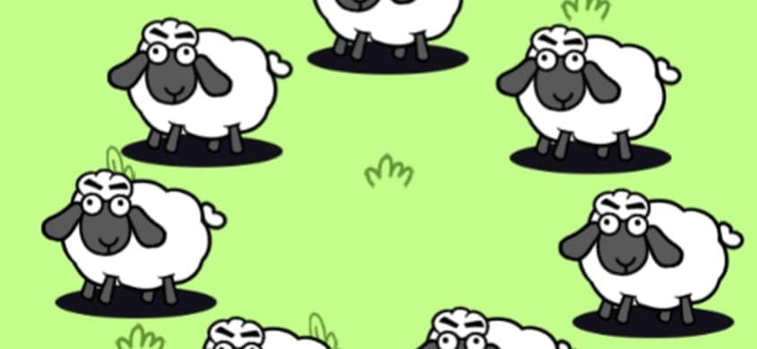 Sheep Sheep banner
